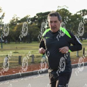 Sem-titulo-1241