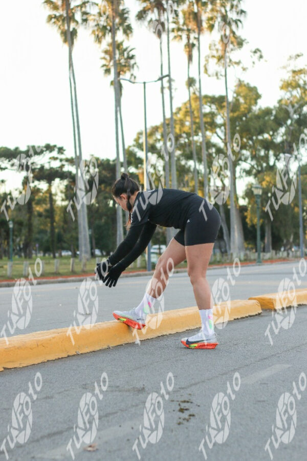 Sem-titulo-1384