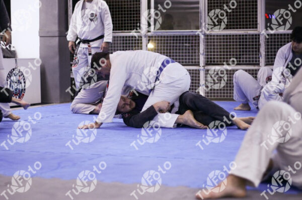 samuray-355
